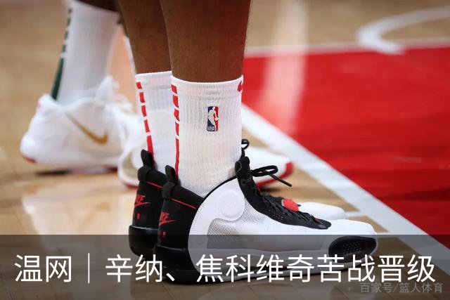 温网｜辛纳、焦科维奇苦战晋级